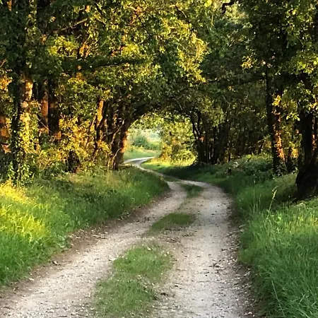 Le Dameli, Village Du Soleil, 61 Шале *