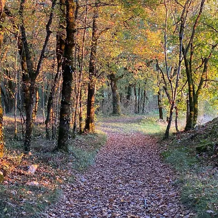 Le Dameli, Village Du Soleil, 61 Dağ evi