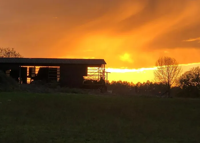 Le Dameli, Village Du Soleil, 61 莫鲁