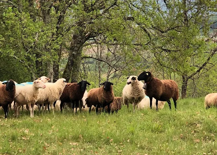 Le Dameli, Village Du Soleil, 61 * 莫鲁